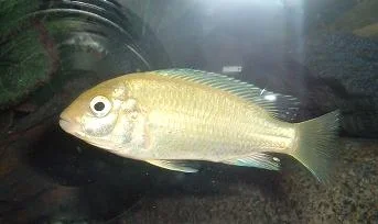 DSCF2712.webp