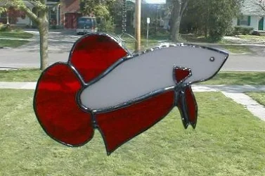 betta_red_dragon_finished___small.webp