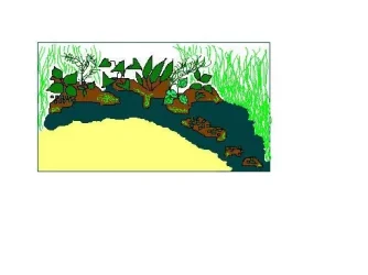 20g_high_layout.webp