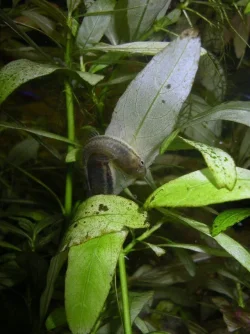 Picture_010.webp