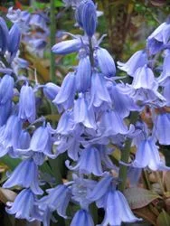 pics_201.webp