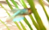 DSCF0234.webp