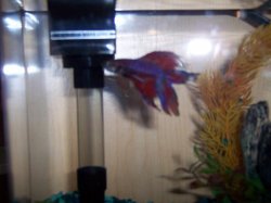 No_Name.002.jpg No_Name.002.jpg