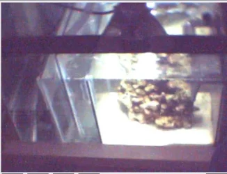 sump.webp