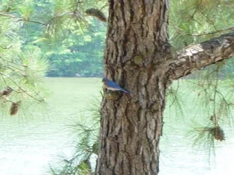DSC03699.webp