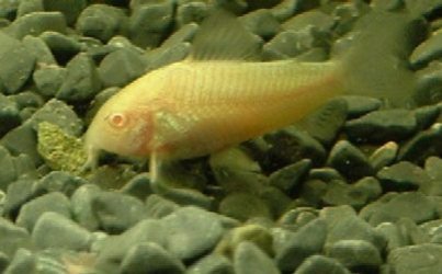 2003_0101Image0057.JPG 2003_0101Image0057.JPG