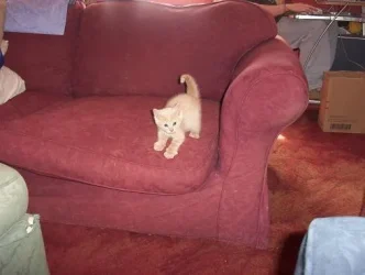 Picture_07812.webp