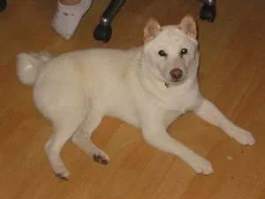 pics_208.webp