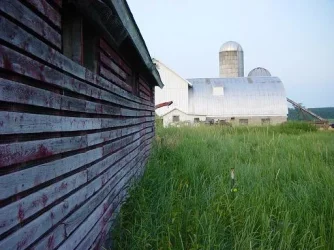 Barn.webp