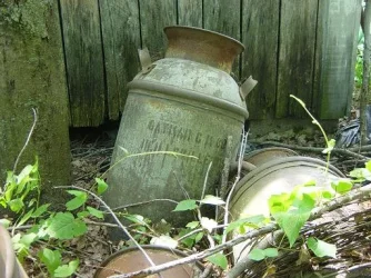 Jug.webp