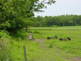 Pasture.webp