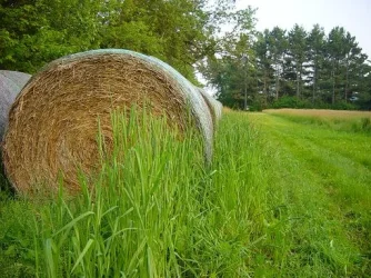 Round_Bale.webp