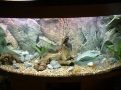 DSCF0010.JPG DSCF0010.JPG