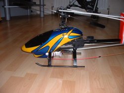swift_0099.JPG