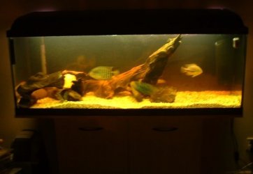 DSCF0154.JPG DSCF0154.JPG