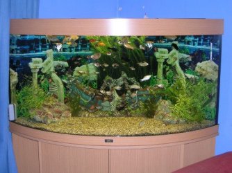 image0006.jpg image0006.jpg