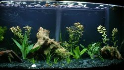 untitled.JPG untitled.JPG