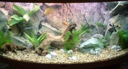 untitled1.JPG untitled1.JPG