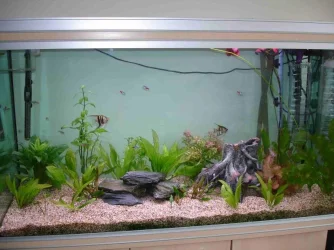 tank_post__2_.webp tank_post__2_.webp