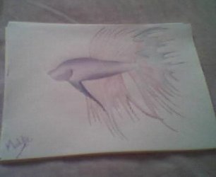 Picture_006.jpg