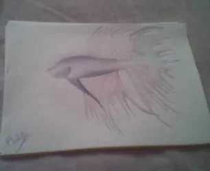 Picture_006.webp