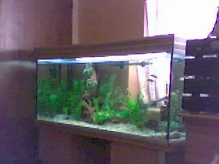 Picture_4.webp