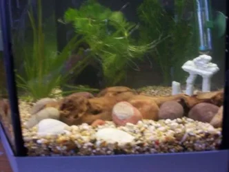 Picture_78286.webp