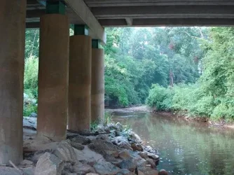 Bridge.webp