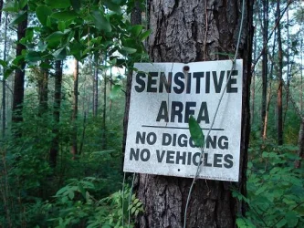 Sign.webp