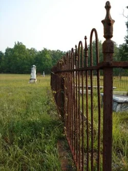 Fence.webp