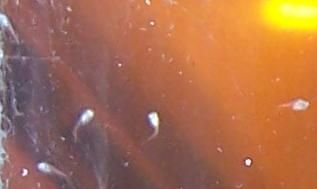 babies.jpg babies.jpg