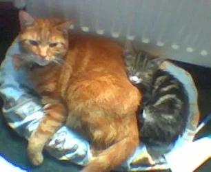 fiddy_andbaby_fifi.webp