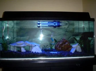 Picture_079.webp
