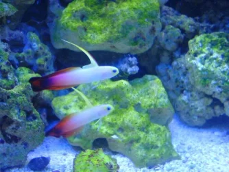 DSC00144.webp