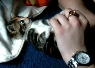 heidi_and_boo.webp