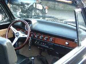 the_bug_2.webp