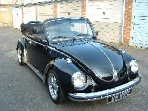 the_bug_1.webp