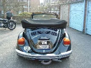 the_bug_4.webp