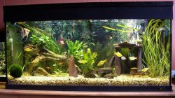 tank2.JPG