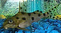 Dsc00016.webp