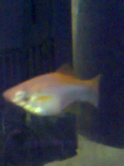 25082006047.webp