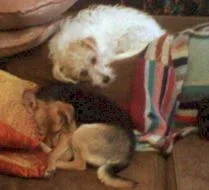 Oscar_and_Ciara.webp