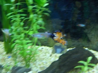 NEWEST_012.webp