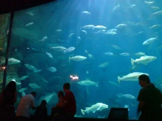 DSC00496a.webp DSC00496a.webp