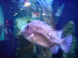 DSC00494a.webp DSC00494a.webp