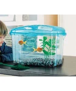 fish_tank.webp