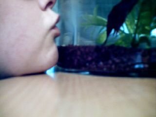 Photo016.jpg Photo016.jpg