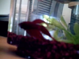 Photo003.jpg Photo003.jpg