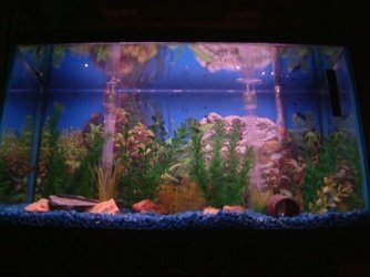 DSCF0253.JPG DSCF0253.JPG