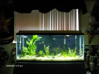 12354_004.webp